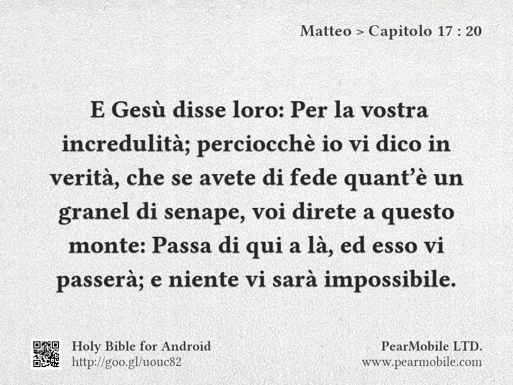 Matteo, Capitolo 17:20